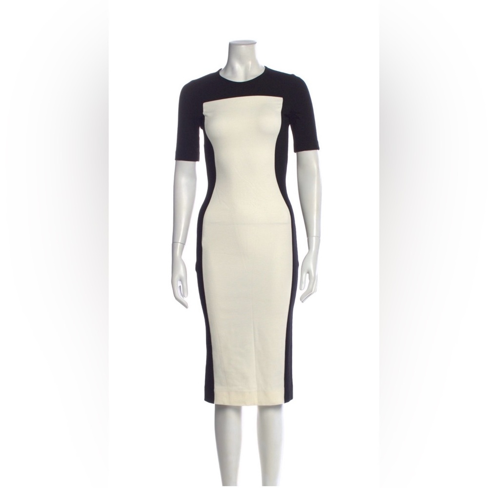 Stella McCartney Sheath Dress sexy Illusion dress xs/s IT38